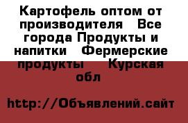 Картофель оптом от производителя - Все города Продукты и напитки » Фермерские продукты   . Курская обл.